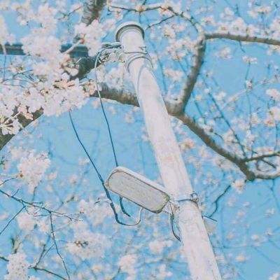 快乐干瞪眼游戏下载