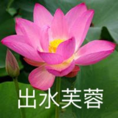 无极仙侠游戏